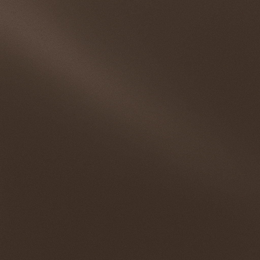 BMW P6A FROZEN DARK BROWN MATT MET.
